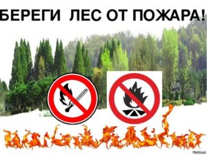 Read more about the article Ставропольское лесничество предупреждает