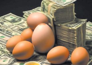 Подробнее о статье Что с яйцами: цены выросли, наступила стабильность?