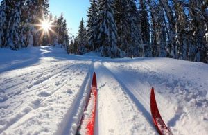 Read more about the article Самарцы встанут на лыжню