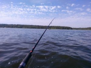 Read more about the article Собрался на рыбалку – почитай правила