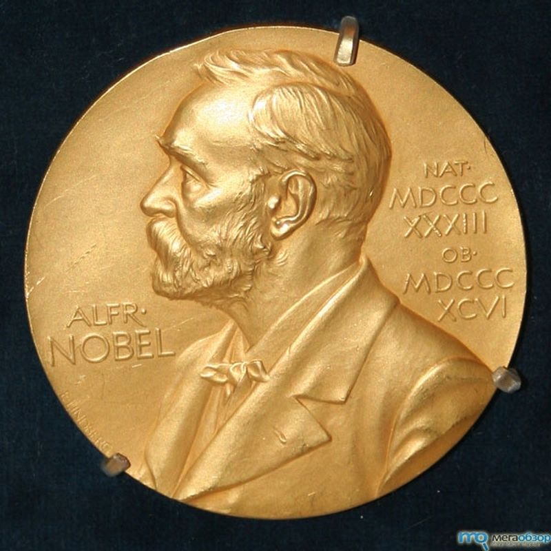 You are currently viewing Кому досталась Нобелевская премия по химии?