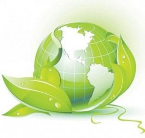 Read more about the article Школьники Тольятти узнают о важности экологии
