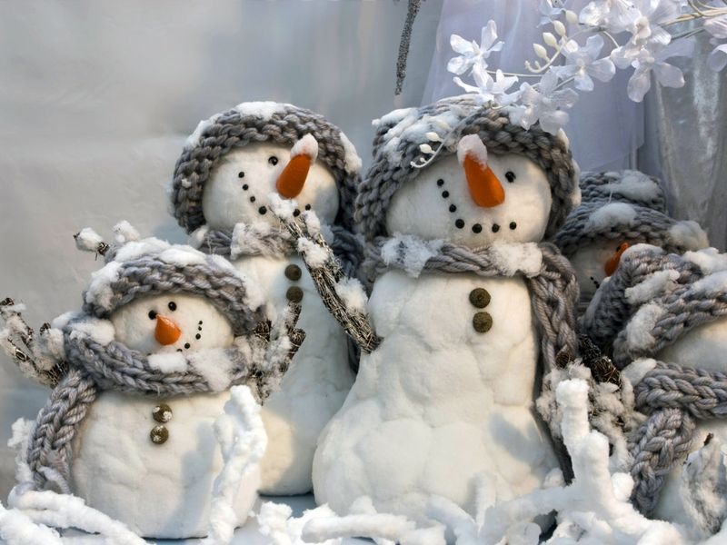 You are currently viewing Конкурс снеговиков состоится в Тольятти!