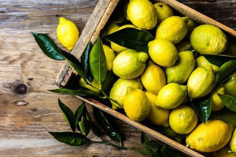 Подробнее о статье Лимоны – это богато