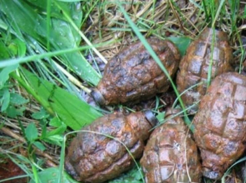 Вы сейчас просматриваете В тольяттинском лесу нашли 5 гранат