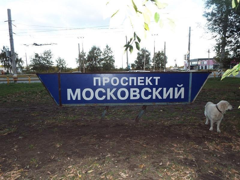 Детский сад и школу в новостройках «стронжа» за московским никто не гарантирует!